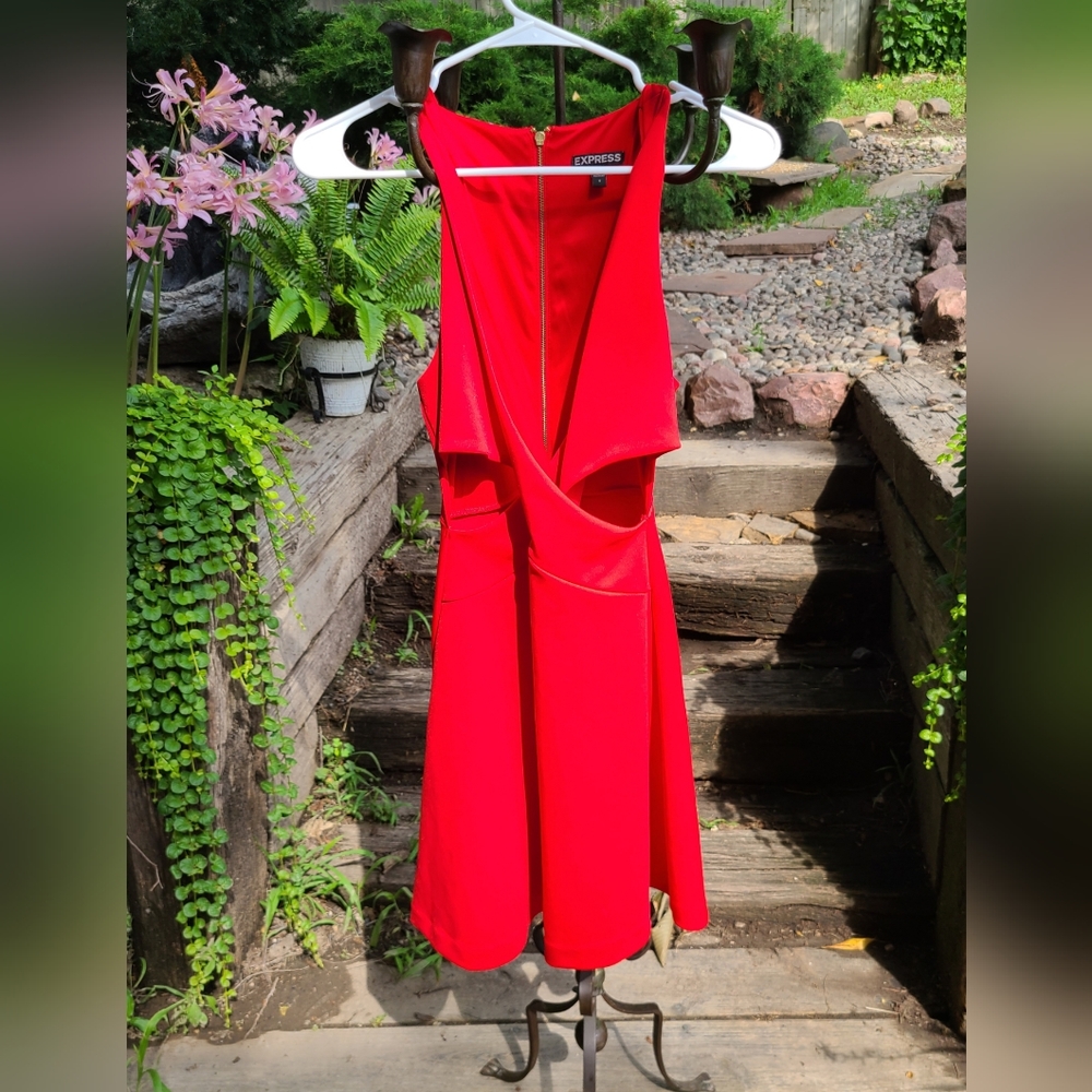Express Little Red Dress